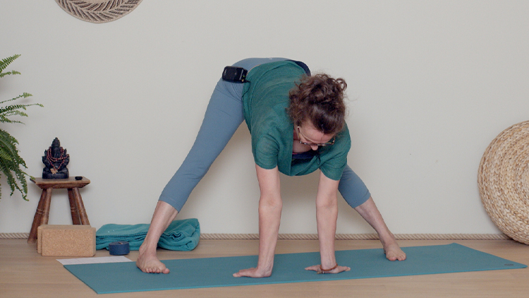 Suivre le cours de yoga en ligne Spécial canicule : séance complète avec Delphine Denis | Hatha Yoga doux, Hatha Yoga dynamique