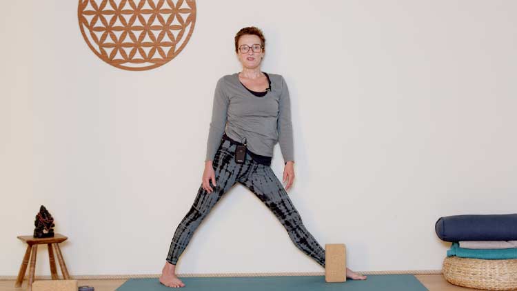 Suivre le cours de yoga en ligne Replay du 18 novembre : Les triangles avec Delphine Denis | Hatha Yoga dynamique