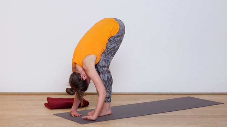Suivre le cours de yoga en ligne Trapèzes et cervicales avec Élodie Prou | Hatha Yoga dynamique