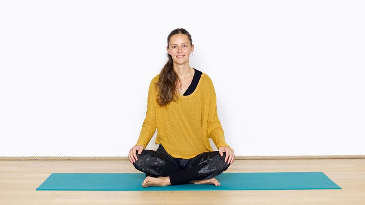 Suivre le cours de yoga en ligne Retrouver l'harmonie avec Diane Duhamel | Yoga Nidra