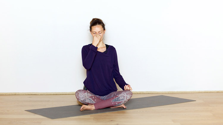 Suivre le cours de yoga en ligne L'équilibre du souffle avec Diane Duhamel | Pranayama