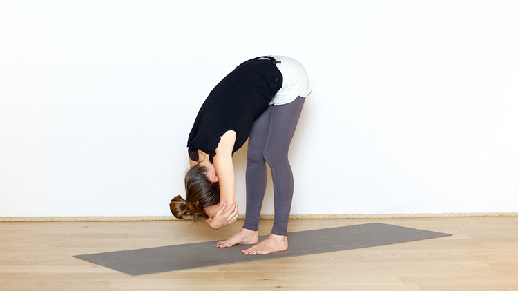 Suivre le cours de yoga en ligne De la tristesse à la joie avec Diane Duhamel | Hatha Yoga dynamique