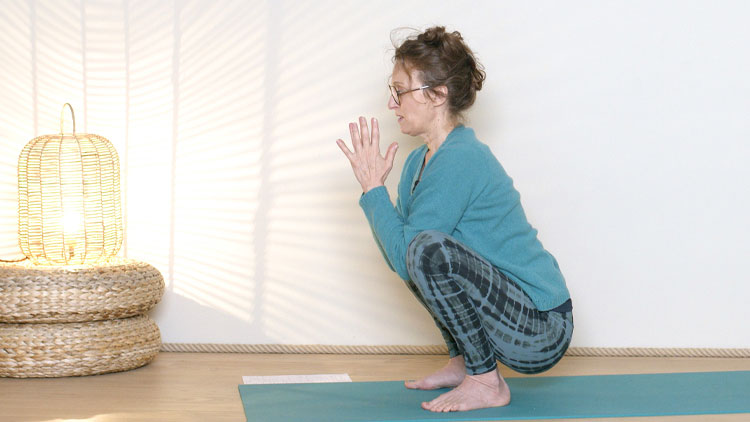 Suivre le cours de yoga en ligne Yoga & Énergie : Stabilité avec Delphine Denis | Hatha Yoga dynamique