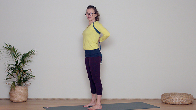 Suivre le cours de yoga en ligne Que signifie "Glisser les omoplates vers le bas du dos ?" avec Delphine Denis | Techniques du Yoga