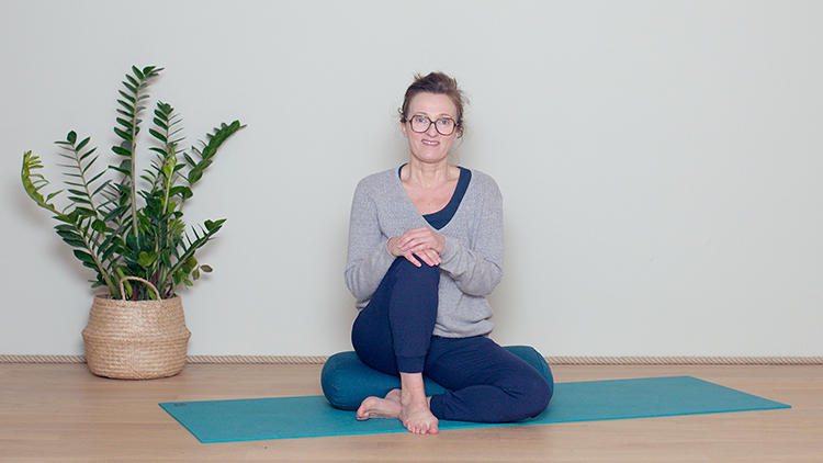 Suivre le cours de yoga en ligne Quand méditer ? avec Delphine Denis | Techniques du Yoga