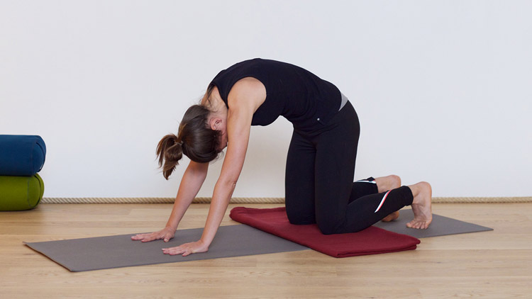 Suivre le cours de yoga en ligne Focus chat-vache avec Élodie Prou | Hatha Yoga doux