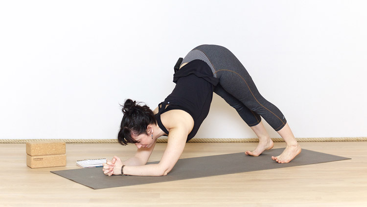 Suivre le cours de yoga en ligne Variations autour de la posture du Dauphin avec Valentine Peltier | Yoga Vinyasa