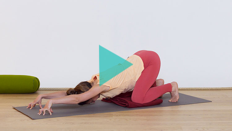 Suivre le cours de yoga en ligne Dénouer le dos pendant la grossesse avec Élodie Prou | Prénatal