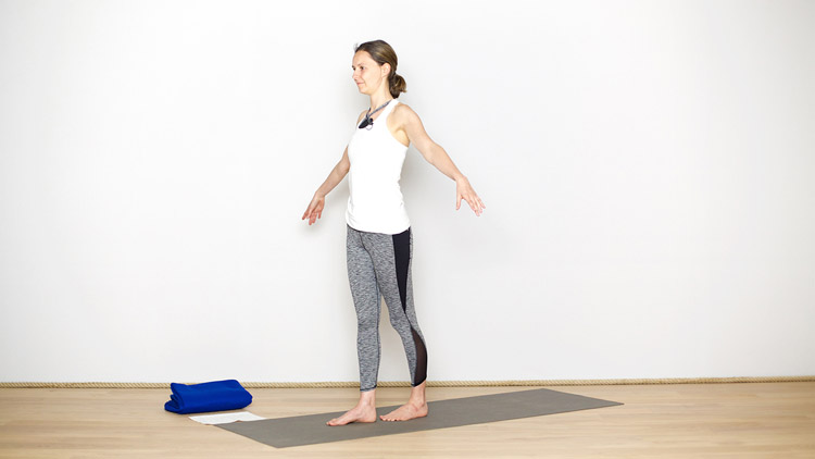 Suivre le cours de yoga en ligne Du stress au calme avec Diane Duhamel | Yoga Vinyasa