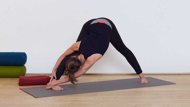 Suivre le cours de yoga en ligne Torsions pour mobiliser le dos avec Élodie Prou | Yoga Vinyasa