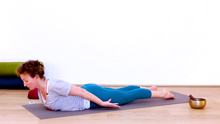 Suivre le cours de yoga en ligne Les bases du vinyasa 2/4 avec Delphine Denis | Yoga Vinyasa