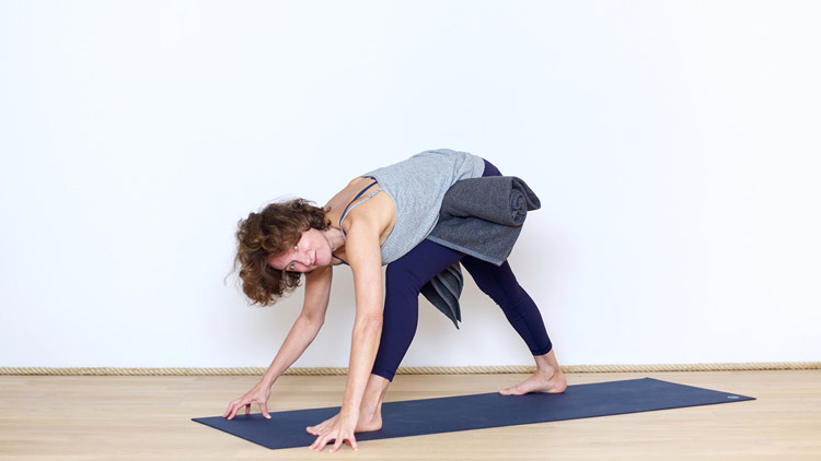 Suivre le cours de yoga en ligne Détox : Un ventre souple et fluide avec Delphine Denis | Hatha Yoga dynamique