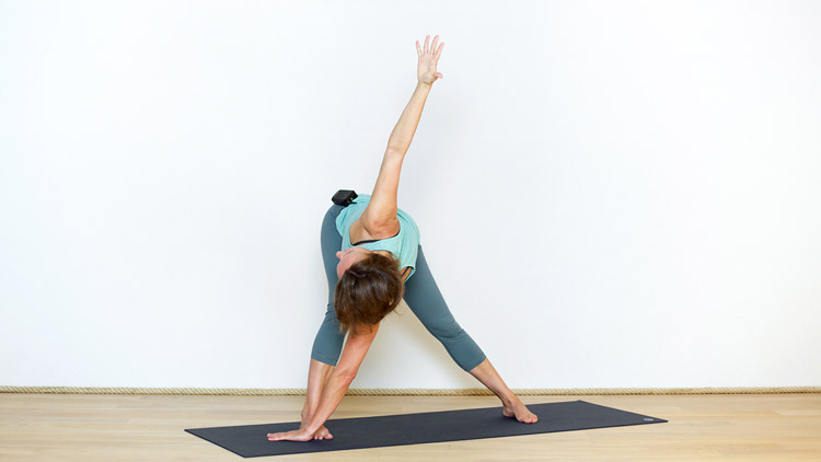 Suivre le cours de yoga en ligne Séance courte du vendredi matin avec Delphine Denis | Hatha Yoga dynamique