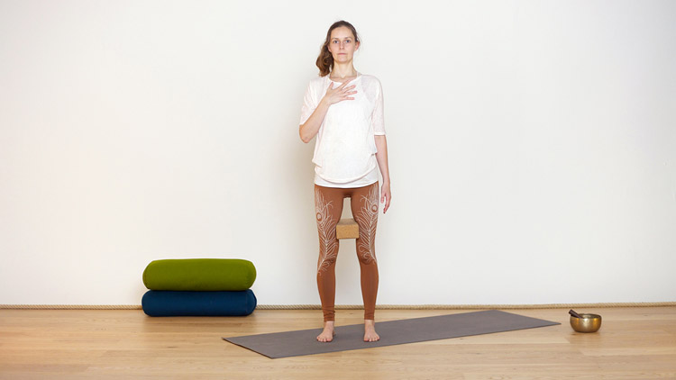 Suivre le cours de yoga en ligne Tadasana selon Diane avec Diane Duhamel | Hatha Yoga dynamique