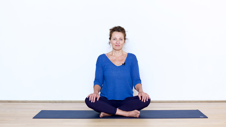 Suivre le cours de yoga en ligne Yoga doux : Introduction au Parcours avec Delphine Denis | Présentations