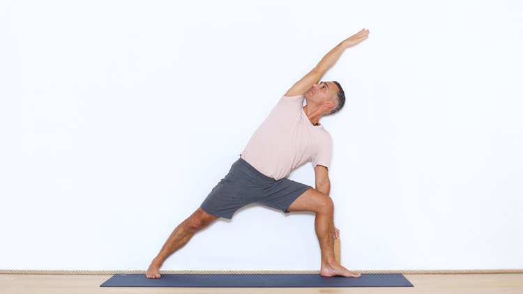 Suivre le cours de yoga en ligne Pratiquer avec le mur 2/2 avec Benoît Le Gourriérec | Alignement