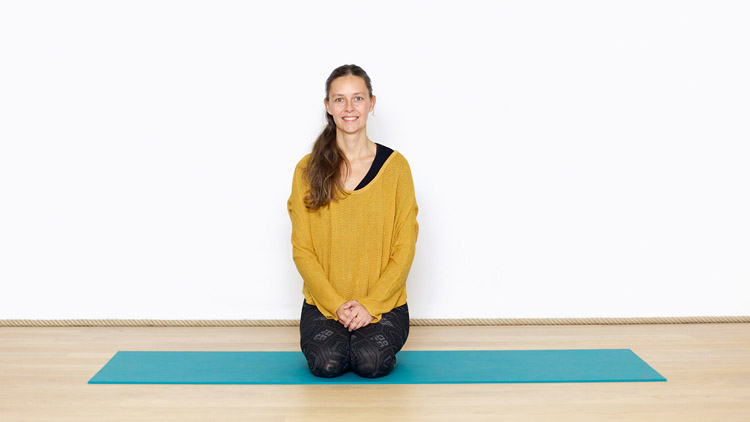 Suivre le cours de yoga en ligne Construire sa pratique : Introduction au Parcours avec Diane Duhamel | Yoga Vinyasa