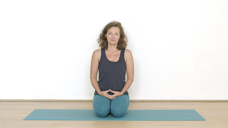 Suivre le cours de yoga en ligne Détox dynamique : Introduction au Parcours avec Delphine Denis | Présentations