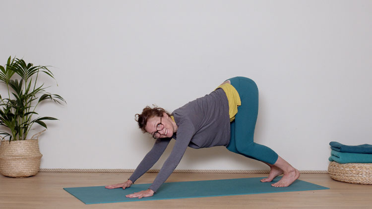 Suivre le cours de yoga en ligne Focus sur la posture du Chien-la-tête-en-bas avec Delphine Denis | Hatha Yoga dynamique, Yoga Vinyasa