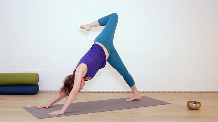 Suivre le cours de yoga en ligne Pratique courte du matin avec Delphine Denis | Yoga Vinyasa
