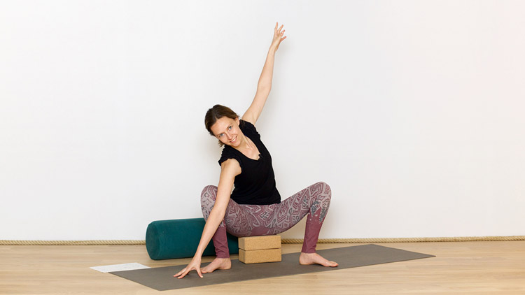 Suivre le cours de yoga en ligne Lenteur et fluidité avant les règles avec Diane Duhamel | Hatha Yoga doux