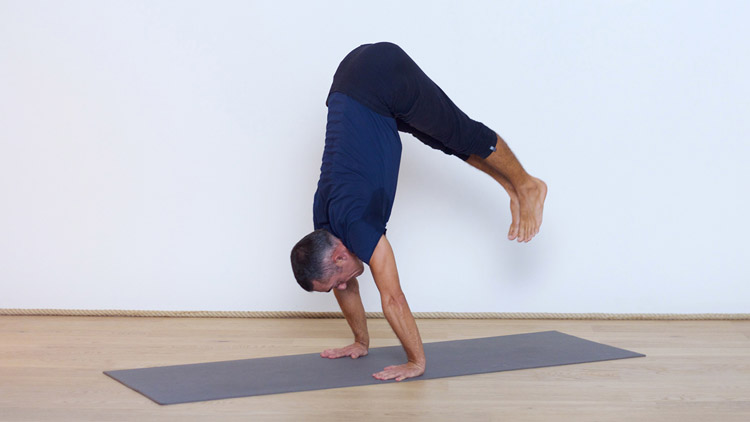 Suivre le cours de yoga en ligne Vers l’équilibre sur les mains 3/3 : équilibre du bassin jambes tendues avec Benoît Le Gourriérec | Yoga Vinyasa
