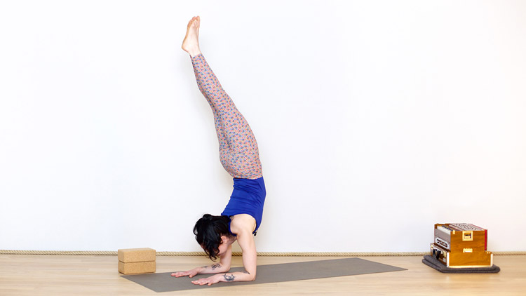 Suivre le cours de yoga en ligne Yoga Jivamukti : le lien à la Terre avec Laure Pépin | Yoga Vinyasa