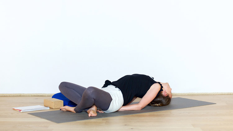Suivre le cours de yoga en ligne De la colère au respect avec Diane Duhamel | Hatha Yoga dynamique