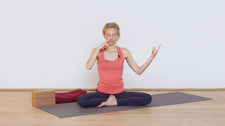 Suivre le cours de yoga en ligne Cultiver sa vigilance intérieure avec Sandra Crosasso | Méditation